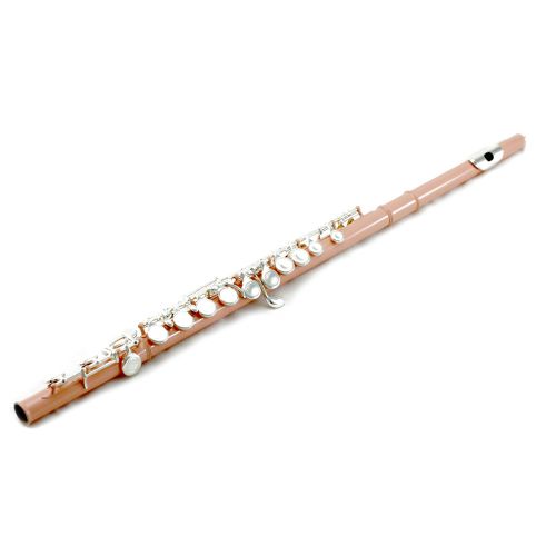  SKY Sky C Flute with Lightweight Case, Cleaning Rod, Cloth, Joint Grease and Screw Driver - Velvet PinkSilver Closed Hole