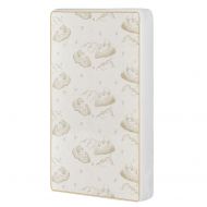Dream On Me 2-In-1 Breathable Two-Sided MiniPortable Crib coil Mattress