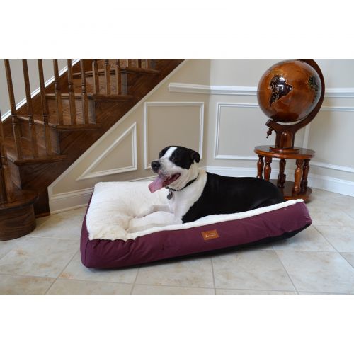  Armarkat Pet Bed Mat 60-Inch by 43-Inch by 8-Inch M02HJHMB-XX Large, Ivory