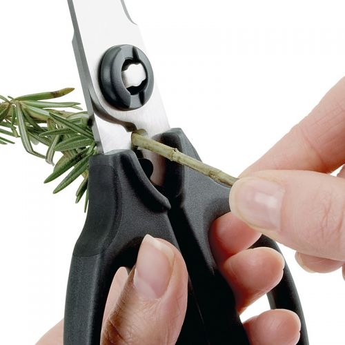 옥소 OXO Kitchen & Herb Scissors