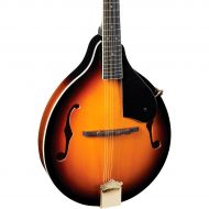 Mitchell},description:The A-style Mitchell AM100VS Mandolin offers visual brilliance and quality craftsmanship in a striking package. The AM100VS mandolin is equipped with a solid