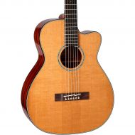 Takamine},description:This deep-bodied orchestra model is one of the superb new additions to the TT Series of Thermal Top guiitars from Takamine. By treating the spruce top with hi