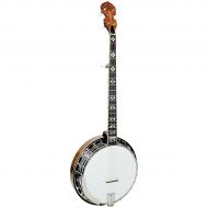 Gold Tone},description:The OB-250 has been called the best bluegrass banjo near $1000! The OB-250 is endorsed by bluegrass legend Frank Wakefield. A slim neck and excellent setup m