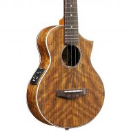 Ibanez},description:Once thought of as a novelty from a bygone era, the ukulele has made an astounding rebound in popularity in recent years. The adoption of this diminutive 4-stri