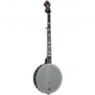 Gold Tone},description:Gold Tone’s most popular openback banjo, the White Ladye WL-250 provides a plunky yet punchy tone well-suited for old-time and folk music. This model feature