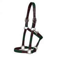 Circuit® by Dover Saddlery® Leather-Padded Web Halter