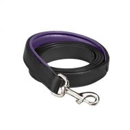 Dover Saddlery® Bright-Padded Lead