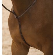 Dover Saddlery Dyon® Standing Martingale