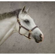 Dover Saddlery® Premium Pony Halter