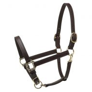 Dover Saddlery Perris Deluxe Turnout Halter