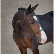 Suffolk® by Dover Saddlery® Classic Hunter Bridle