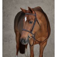 Dover Saddlery® Premier Padded Pony Hunter Bridle