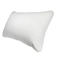 The Signature Collection Silk Filled Quilted Pillow