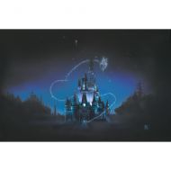 Disney Cinderella Castle 40 Magical Years Giclee by Noah