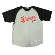Youth San Francisco Giants Stitches GrayBlack Double Play Jersey