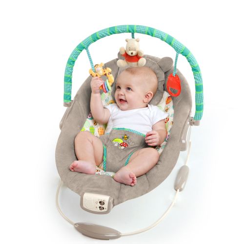 브라이트스타트 Bright Starts Disney Baby Bouncer Seat - Winnie the Pooh Dots & Hunny Pots