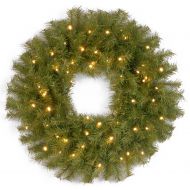 National Tree 24 Norwood Fir Wreath with 50 Warm White Battery Operated LED Lights with Timer