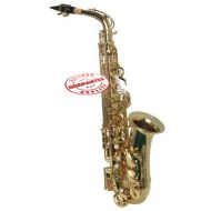 Hawk Student Gold Lacquered Alto Saxophone with Case, Mouthpiece and Reed