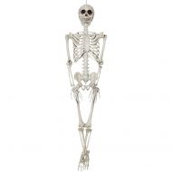 Generic 36 Skeleton Halloween Prop
