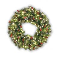 National Tree 24 in. Crestwood Spruce Wreath - Clear Lights