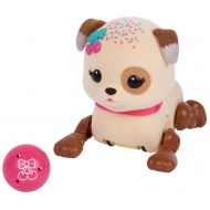 Little Live Pets Season 1, Cutie Pup Single Pack Sprinky