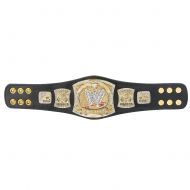 Official WWE Authentic Championship Spinner Mini Replica Title Belt