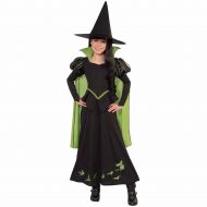 Generic Wizard of Oz Wicked Witch of the West Child Halloween Costume