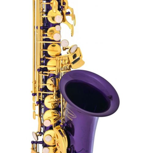  Lazarro Professional Purple-Gold Keys Eb E Flat Alto Saxophone Sax with 11 Reeds, Case & Many Extras - 360-PR