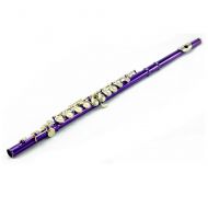 SKY Sky C Flute with Lightweight Case, Cleaning Rod, Cloth, Joint Grease and Screw Driver - PurpleGold Closed Hole