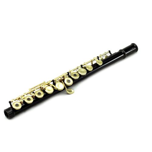  SKY Sky Open Hole C Flute with Lightweight Case, Cleaning Rod, Cloth, Joint Grease and Screw Driver - Black Gold