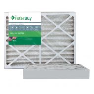 FilterBuy AFB Platinum MERV 13 20x25x4 Pleated AC Furnace Air Filter. Pack of 2 Filters. 100% produced in the USA.