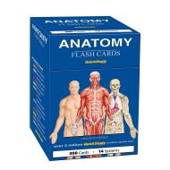 Vincent Perez Anatomy Flash Cards