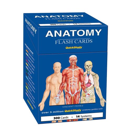  Vincent Perez Anatomy Flash Cards