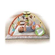 Fisher-Price Fisher Price My Little SnugaMonkey Ultra Comfort Musical Gym (0-12 months)