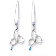 ShearsDirect Japanese 440C Stainless Steel 2-Piece Professional Grooming Shear Set with Blue Gem Stone Tension Knob