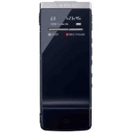 Iyker Sony ICDTX50 Digital Flash Voice Recorder