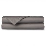 Crowning Touch by Welspun 400 Thread Count 100% Egyptian Cotton WEL-Trak Sheet Set, Queen, Grey