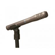 Audio-Technica Condenser Microphone (AT8033)