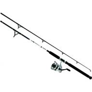 Daiwa D-Wave Saltwater Spinning Combo (2 Piece)