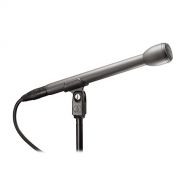 Audio-Technica Dynamic Microphone (AT8004)