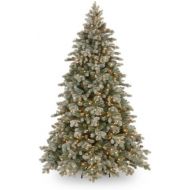 National Tree Company National Tree 7.5 Foot Feel Real Frosted Colorado Fir with 750 Clear Lights (PECSF1-300-75)