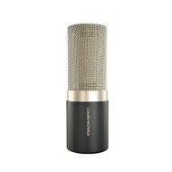 Audio-Technica Condenser Microphone (AT5040)
