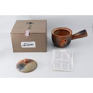 Shigaraki Pottery Midori Mamekake Kyusu Teapot G5-2709(Japan Import)