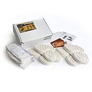 Crosscutting Concepts VXH-LL-FTP Lyle and Louise The Shoe Must Fit Footprint Analysis Kit