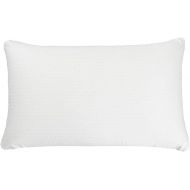 Simmons Beautyrest Beautyrest Latex Foam Pillow with Cover (Standard)