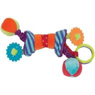 Manhattan Toy Ziggles Rattle and Teether Developmental Activity Toy