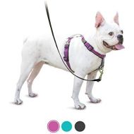 PetSafe 3 in 1 Harness - No-Pull Dog Harness - for X-Small, Small, Medium and Large Breeds - from the Makers of the Easy Walk Harness