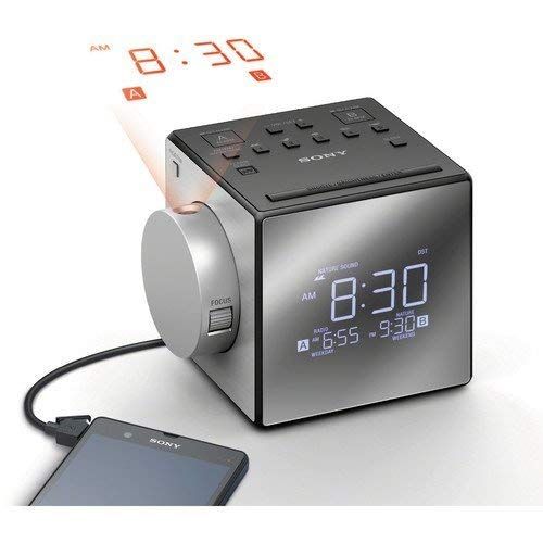 소니 Sony Compact AMFM Dual Radio Alarm Clock, Silver