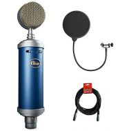 Blue Bluebird SL Large-Diaphragm Condenser Studio Microphone with XLR Cable and Pop Filter