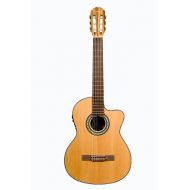 Directly Cheap 6 String Classical Guitar, Natural (GFC349-NT+Lessons)